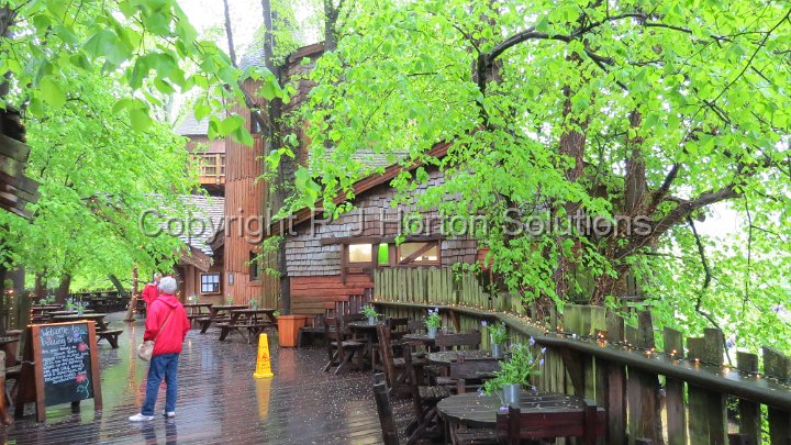 Alnwick - Tree House Walkway